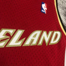 Regata Cleveland Cavaliers LeBron James Vermelha 2003/04 - Hardwood Classics