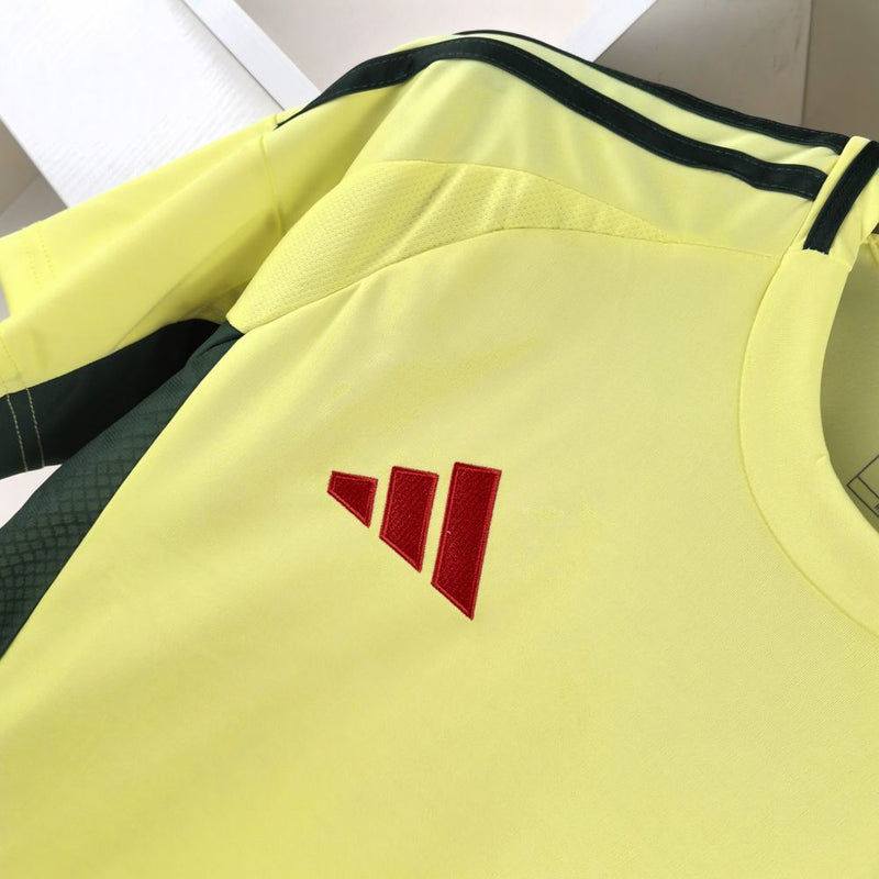 Camisa 2 País de Gales 24/25 Torcedor - Masculina