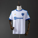 Camisa 2 Paysandu 2025/26 Torcedor - Masculina