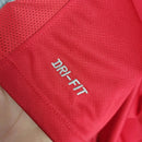 Camisa 1 Portugal Retrô 2010 - Masculina