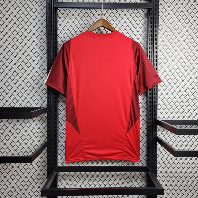 Camisa Treino Internacional 24/25 - Masculina