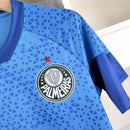 Camisa treino Palmeiras 2024/25 - Masculina