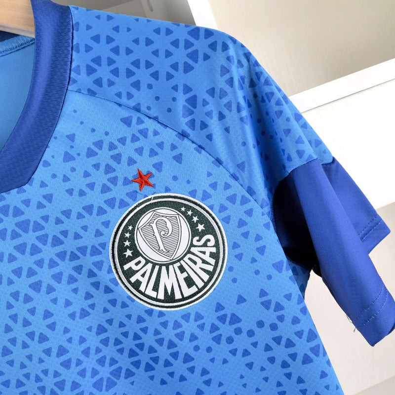 Camisa treino Palmeiras 2024/25 - Masculina