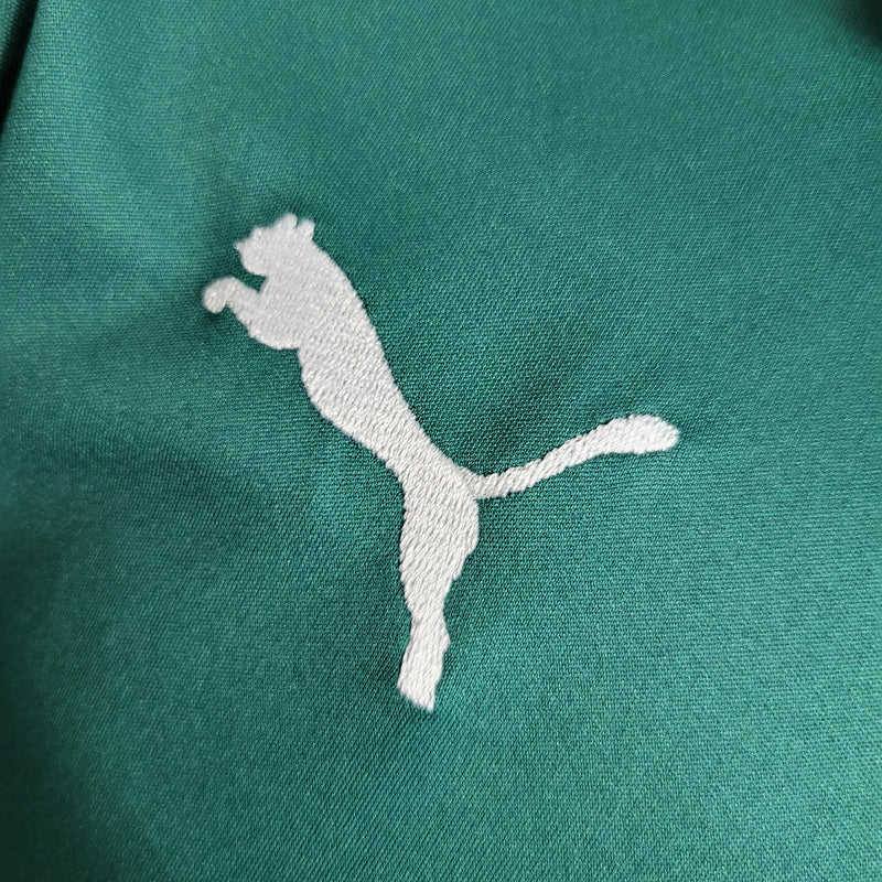 Camisa Polo Treino Palmeiras Verde 2023/24 - Masculina
