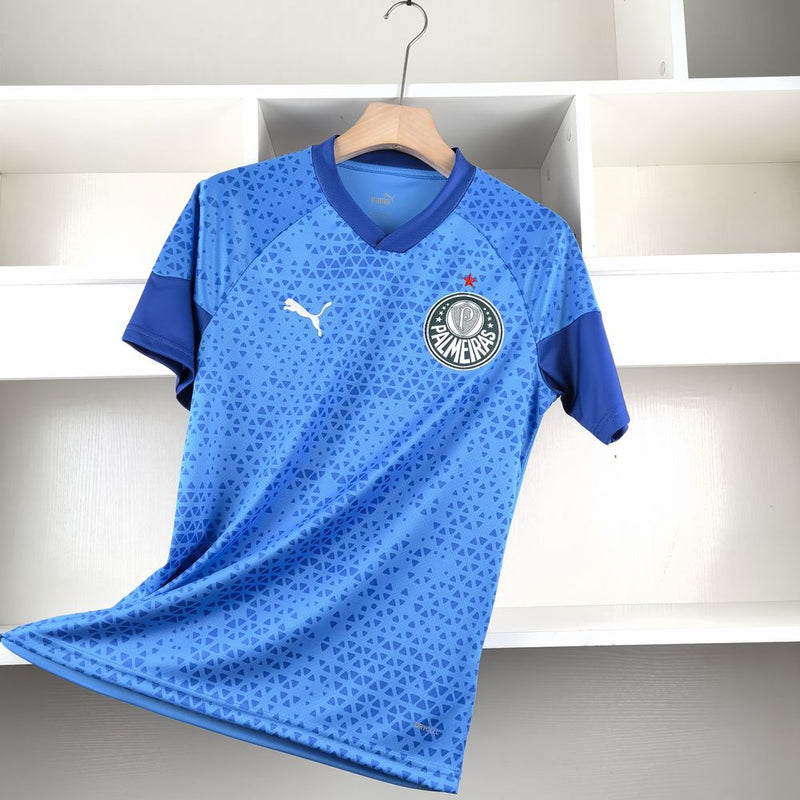 Camisa treino Palmeiras 2024/25 - Masculina