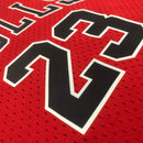 Cropped Feminino Chicago Bulls - Michael Jordan 23