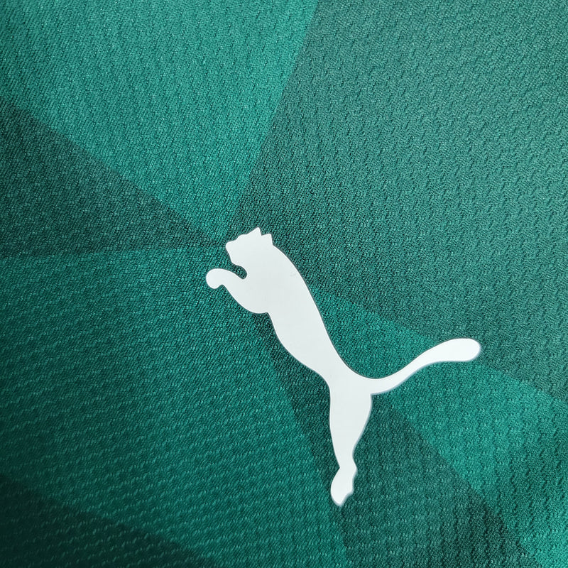 Camisa 1 Palmeiras 2023/24 Torcedor - Masculina
