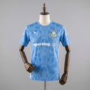 Camisa Goleiro Palmeiras 2025/26 Torcedor - Masculina