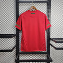 Camisa 1 Portugal Retrô 2010 - Masculina