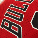 Cropped Feminino Chicago Bulls - Michael Jordan 23