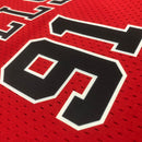 Cropped Feminino Chicago Bulls - Michael Jordan 23