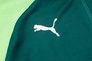 Agasalho Treino Palmeiras Verde 2024/25 - Masculino