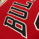 Cropped Feminino Chicago Bulls - Scottie Pippen 33