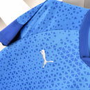 Camisa treino Palmeiras 2024/25 - Masculina